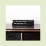 "Os Filhos do Capitão Grant" - Image 5