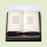 Os Grandes Clássicos da Literatura Portuguesa - Image 13