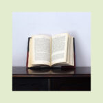 Os Grandes Clássicos da Literatura Portuguesa - Image 4