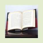 Os Grandes Clássicos da Literatura Portuguesa - Image 16