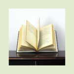 Os Grandes Clássicos da Literatura Portuguesa - Image 19