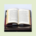 Os Grandes Clássicos da Literatura Portuguesa - Image 7