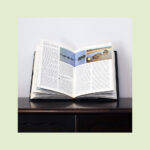 "Países, Povos e Continentes" - Image 8