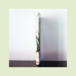 "Álbum das Glórias", por Rafael Bordalo Pinheiro - Image 8