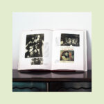 "Amália: Uma Estranha Forma de Vida" - Image 3