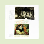 "Amália: Uma Estranha Forma de Vida" - Image 5